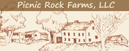 Picnic Rock Farms